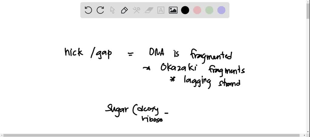 Solved What Enzyme Seals The Nick In The Sugar Phosphate Backbone That Results From Replication 6514