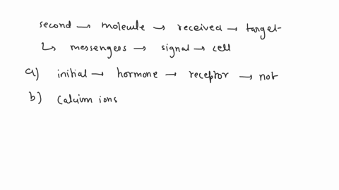 which-of-the-following-activates-a-second-messenger-a-hormone-receptor-complex-b-calcium-ions-c-inos-01289