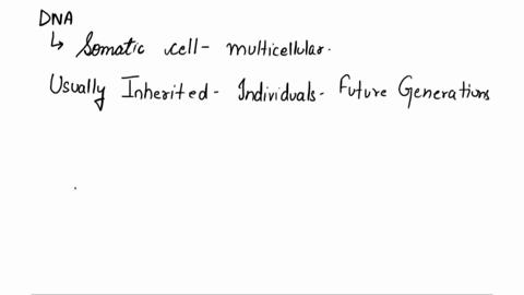 mutation-of-dna-within-a-single-somatic-cell-of-a-multicellular-organism-a-may-or-may-not-have-a-phenotypic-consequence-b-is-usually-inherited-by-individuals-in-future-generations-c-automati-31485