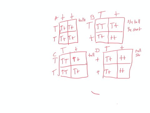 pea-plant-crosses-fill-in-the-following-punnett-sque-and-match-the-punnett-square-with-the-probabilities-tbe-following-questions-first-deternine-who-were-the-parents-then-determine-the-possi-86348