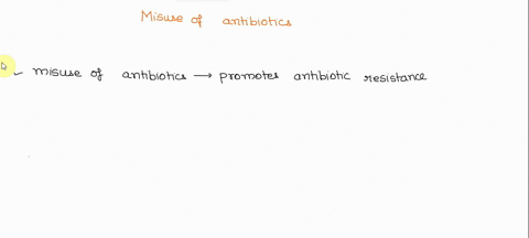 discuss-the-misuse-of-antibiotics-in-the-clinical-setting-how-does-this-misuse-play-a-role-in-antibiotic-resistance-uslo-117-79677