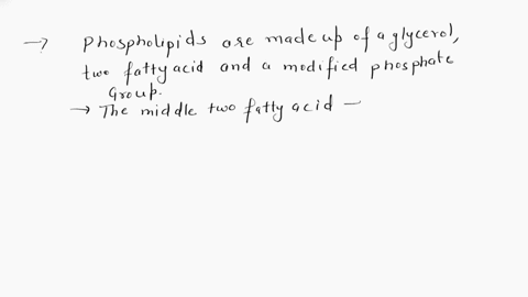 why-is-the-proton-transfer-from-intermembrane-space-to-mitochondrial-matrix-not-possible-without-atp-synthase-select-the-correct-answer-below-a-the-nonpolar-middle-section-of-phospholipid-me-58302