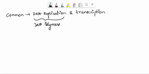 which-of-the-following-features-is-common-to-both-dna-replication-and-transcription-a-the-polymerase-moves-in-a-5-to-3-direction-b-both-rna-and-dna-polymerases-require-oligonucleotide-primin-52479