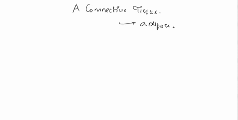 a-connective-tissue-a-has-no-matrix-b-covers-the-skin-c-has-abundant-matrix-d-none-of-these-58818