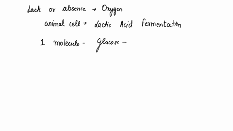 imagine-there-are-two-different-cells-cell-a-and-cell-b-explain-why-lactic-acid-carbon-dioxide-and-only-2-atp-are-produced-in-cell-a-and-carbon-dioxide-water-and-up-to-32-atp-are-produced-in-17577