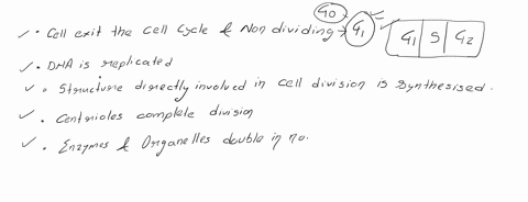 please-match-the-event-to-the-correct-subphase-of-interphase-you-may-use-each-subphase-more-than-once-a-cell-may-exit-the-cell-cycle-and-become-nondividing-dna-is-replicated-centrioles-compl-19914