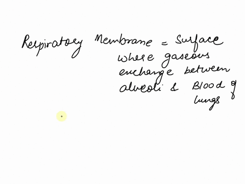 the-minimum-measurement-of-the-respiratory-membrane-is-around-_______-thick-1-micrometers-1-micrometer-5-micrometers-5-micrometers-14947
