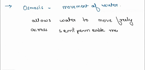 what-principle-drives-the-movement-of-water-38799