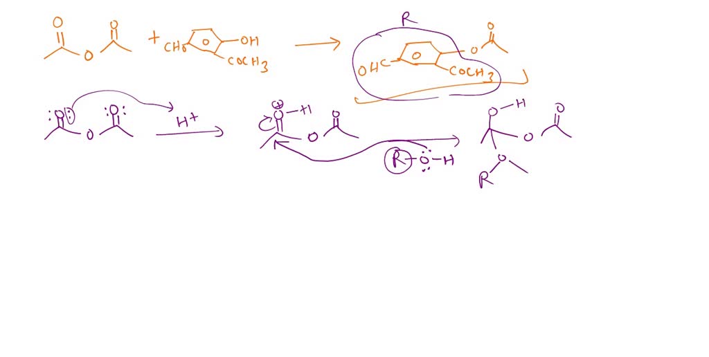 SOLVED: What is the first step in the acid-catalyzed esterification ...