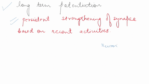 which-of-the-following-is-true-of-long-term-potentiation-ltp-ltp-is-the-cellular-basis-for-episodic-memory-ltp-occurs-independent-of-synaptic-activity-ltp-reflects-a-persistent-temporal-summ-44926