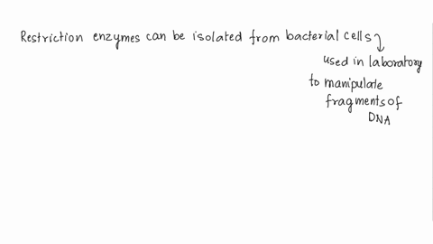 in-making-recombinant-dna-what-is-the-benefit-of-using-a-restriction-enzyme-that-cuts-dna-in-a-staggered-fashion-44905