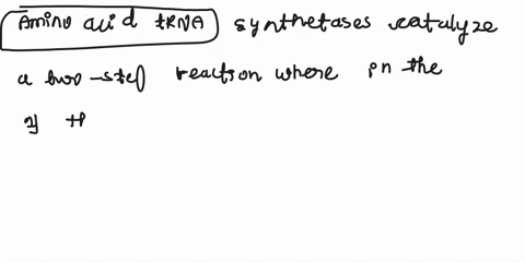 complete-the-following-statement-with-the-options-below-amino-acid-trna-synthetases-catalyse-a-two-step-reaction-in-the-first-stepthe-amino-acid-is-activated-with-atpforming-an-in-the-second-85166