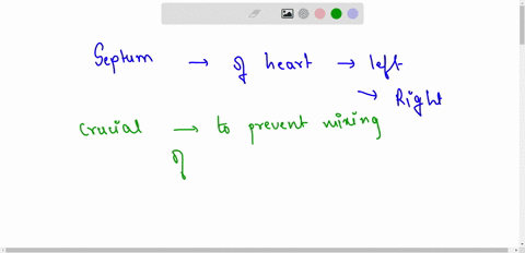 what-is-the-significance-of-separation-of-heart-into-left-and-right-side-by-the-septum-49016