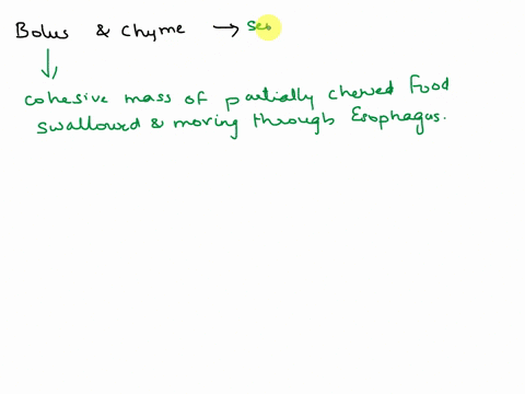 what-is-the-difference-between-bolus-and-chymealso-define-peristalsis-44765