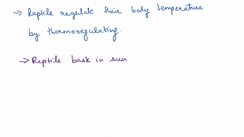 how-the-reptiles-regulate-their-body-temperature-explain-with-example-of-any-reptile-zoology-based-question-85921