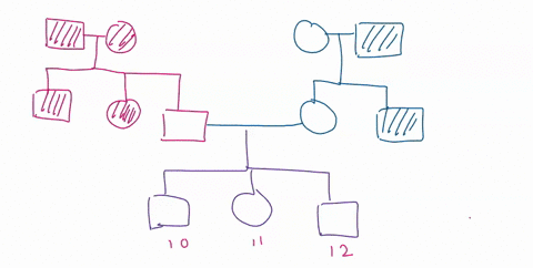 evaluate-the-following-pedigree-diagram-and-answer-the-following-question-6-pts-thie-characteristic-is-dominant-of-recessive-the-charaeteristic-is-uutosomal-or-sex-linked-possible-genotypes-68787