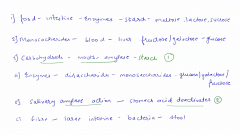 put-the-complete-process-of-carbohydrate-digestion-beginning-in-the-mouth-in-order-below-the-arrival-of-food-in-the-smab-intestine-stimulates-the-release-another-enzyme-pancreatic-amylase-wh-61747