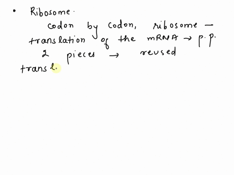 what-happens-at-the-ribosome-a-protein-synthesis-b-mrna-codons-and-their-complementary-trna-anticodons-match-up-c-amino-acids-are-joined-together-by-peptides-bonds-to-make-a-polypeptide-prot-91813