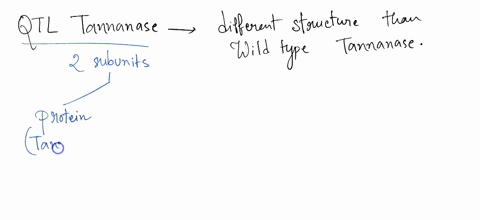 leucine-yucine-eucine-eucine-figure-1-the-structure-of-two-qtl-halanases-the-tannanin-proteins-are-blue-the-gluelin-proteins-re-yellow-the-cofactors-are-red-leucin-tbe-tamanin-proteins-is-la-97592