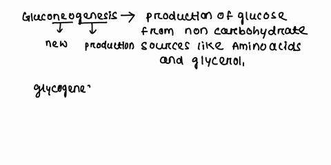 which-of-the-following-describes-the-process-by-which-we-store-glucose-gluconeogenesis-glycogenesis-glycogenolysis-glycolysis-50795