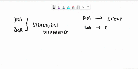 explain-why-the-4-nucleotides-of-dna-are-different-from-the-nucleotides-of-rna-71548