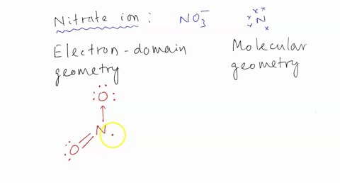 1-the-electron-domain-geometry-and-molecular-geometry-of-the-nitrate-ion-are-________-and-________-respectively-a-trigonal-bipyramidal-trigonal-planar-b-tetrahedral-trigonal-pyramidal-c-trig-29039