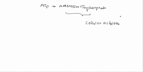how-does-atp-supply-energy-for-cellular-activities-by-breaking-off-a-phosphate-group-from-its-structure-by-releasing-the-sugar-molecule-from-its-structure-by-adding-a-phosphate-group-to-its-75659