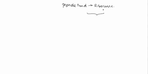 immediately-after-peptide-bond-formation-what-is-found-in-the-a-site-of-the-ribosome-during-protein-translation-elongation-a-an-empty-trna-molecule-b-a-termination-factor-protein-c-an-amino-39579