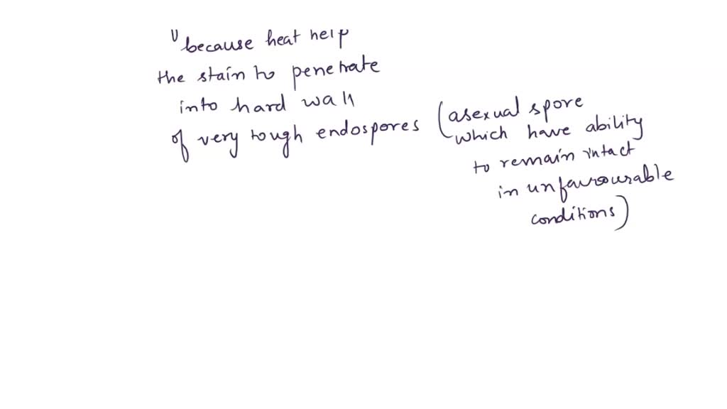 SOLVED: Title: Spore Stain Technique Questions: Why is heat necessary ...