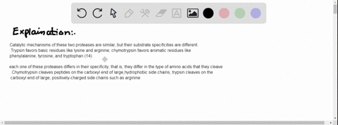d-what-are-the-different-substrate-specificities-of-elastase-trypsin-and-chymotrypsin-and-why-from-a-structural-standpoint-do-elastase-trypsin-and-chymotrypsin-have-different-substrate-speci-99074