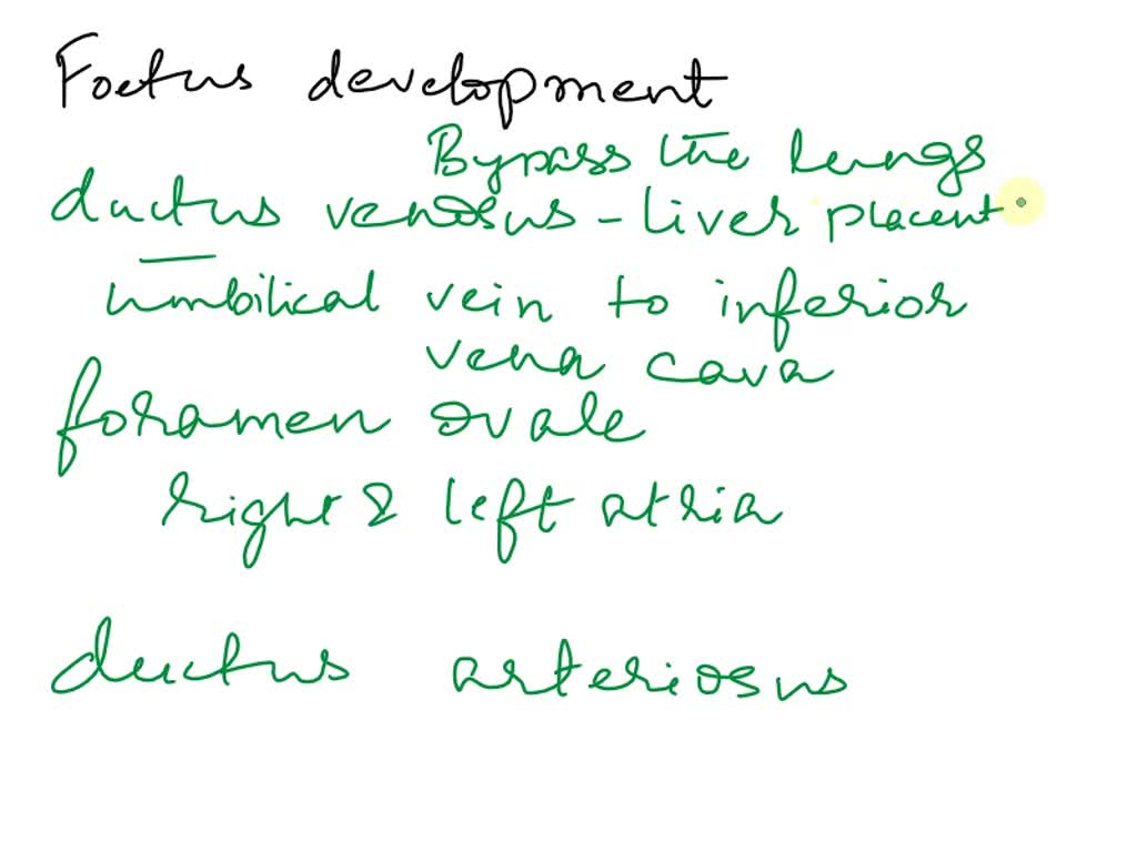 Ancestry - Family Tree, Genealogy & Family History Records