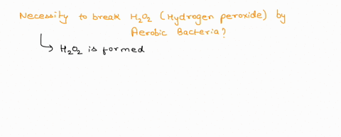 why-is-it-necessary-for-an-aerobic-bacterium-to-break-down-hydrogen-peroxide-03722