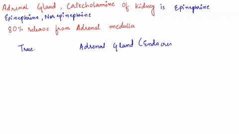 the-adrenal-gland-produces-both-epinephrine-and-norepinephrine-the-predominant-catecholamine-at-the-level-of-the-kidney-is-epinephrine-accounting-for-80-released-from-the-adrenal-medulla-tru-97867