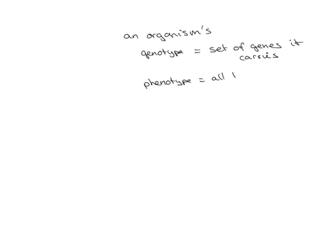 define-genotype-and-phenotype