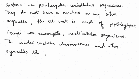 4-fungi-how-are-fungi-different-from-bacteria-whats-the-difference-between-a-mold-and-a-yeast-54537