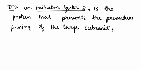the-protein-that-prevents-the-large-subunit-from-joining-prematurely-and-also-facilitates-entry-of-the-appropriate-initiator-aa-trna-is-called-select-one-if2-if1-if3-ef-tu-34052