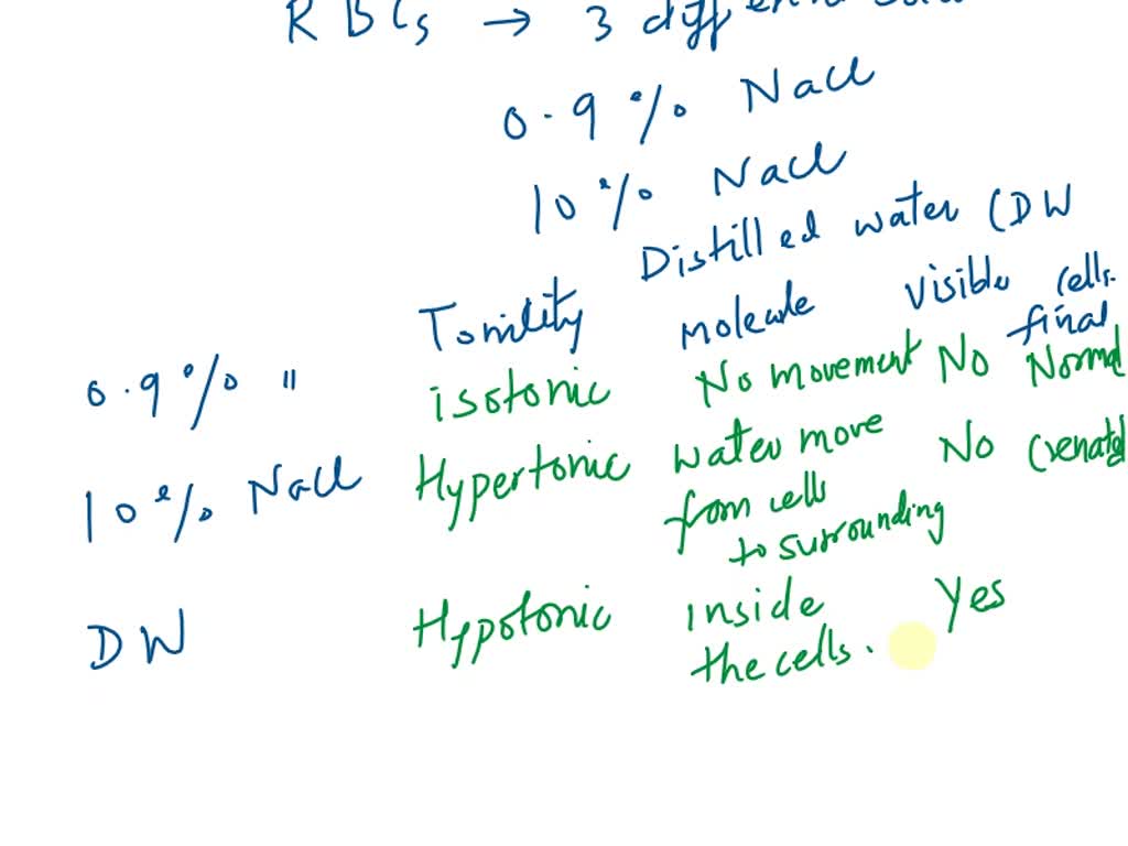 solved-red-blood-cells-erythrocytes-suspended-in-the-plasma-of-blood