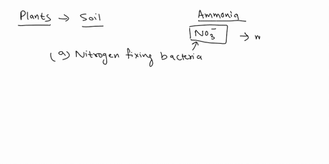 plant-growth-requires-_____-uptake-from-the-soil-a-nitrogen-b-carbon-c-phosphorus-d-both-a-and-c-e-a-43785