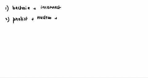 question-15-protists-and-bacteria-are-grouped-into-different-domains-because-bacteria-do-not-consist-of-one-or-more-cells-protists-have-membranc-bounded-nucleus-which-bacterial-cells-lack-pr-85897