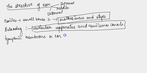 texts-review-sheet-14-column-a-column-b-auditory-pharyngotympanic-tube-anvil-incus-cochlea-endolymph-external-acoustic-meatus-hammer-malleus-oval-window-perilymph-pinna-round-window-semicirc-36596
