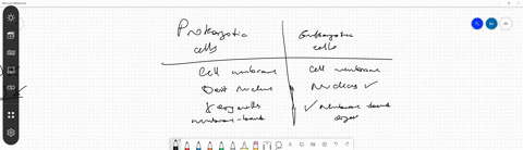 which-of-the-following-clues-would-tell-you-whether-a-cell-is-prokaryotic-or-eukaryotic-a-the-presence-or-absence-of-a-rigid-cell-wall-b-whether-or-not-the-cell-is-partitioned-by-internal-membranes--2