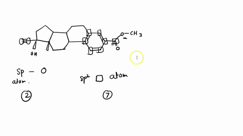 1-ethynyl-estradiol-is-an-active-compound-in-birth-control-pills-the-molecule-shown-below-is-derivative-of-ethynyl-estradiol-put-circle-around-each-sp-atom-and-put-box-around-each-sp2-atom-_-48591