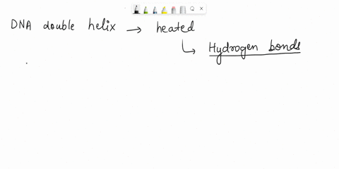 if-a-dna-double-helix-is-gradually-heated-which-bonds-in-the-molecule-will-break-first-94374