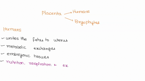question-2-below-is-a-description-of-human-placenta-its-principal-function-is-to-supply-the-fetus-with-oxygen-and-nutrients-the-placenta-is-structurally-adapted-to-achieve-this-possessing-a-92305