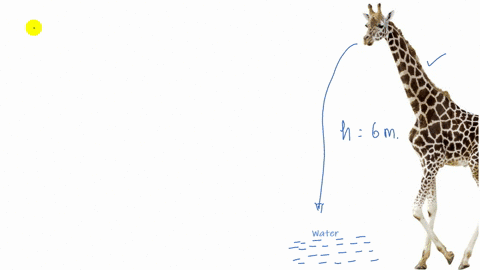 Giraffes Are A Wonder Of Cardiovascular Engineering Calculate The Difference In Pressure In Atmospheres That The Blo Giraffes Are A Wonder Of Cardiovascular Engineering Calculate The Difference In Pressure In Atmospheres That The Blo