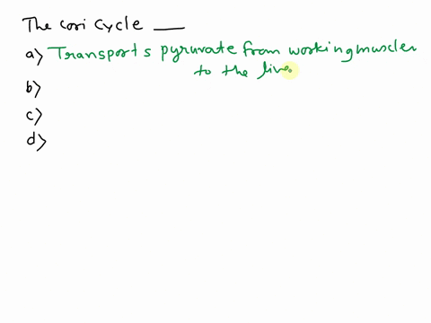 the-cori-cycle-transports-pyruvate-from-working-muscles-to-the-liver-where-it-is-converted-back-to-glucose-is-important-in-organisms-resping-aerobically-involves-the-conversion-of-muscle-pyr-16851