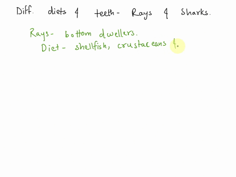 how-do-the-teeth-and-diets-of-bottom-dwelling-rays-and-skates-differ-from-those-of-open-ocean-sharks-most-rays-have-developed-heavy-rounded-teeth-for-crushing-the-shells-of-bottom-dwelling-s-93988