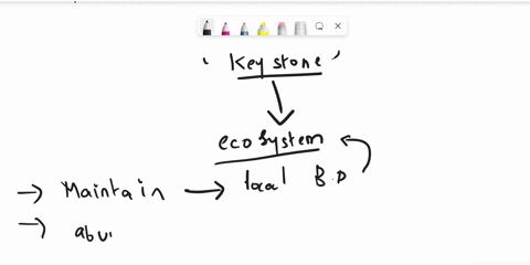a-keystone-species-is-typically-the-most-numerous-species-in-community-the-species-lowest-on-given-food-chain-particulary-vulnerable-to-ecosystem-damage-and-will-suffer-withonly-minor-ecosys-85843