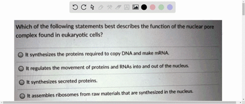 which-of-the-following-statements-best-describes-the-function-of-the-nuclear-pore-complex-found-in-eukaryotic-cells-it-synthesizes-the-proteins-required-to-copy-dna-and-make-mrna-it-regulate-83906