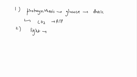 question-5-2-points-the-purpose-of-the-light-reactions-of-photosynthesis-is-to-1-build-glucose-using-co2-atp-and-nadph-2-use-light-to-energize-electrons-that-power-atp-and-nadph-formation-ca-86855